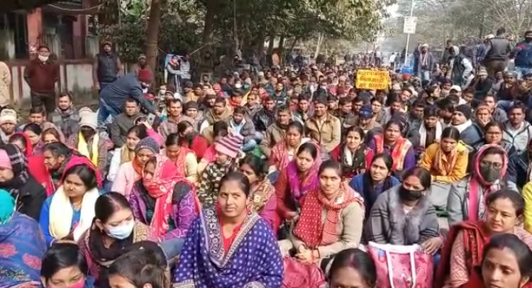 एसटीईटी प्रदर्शन