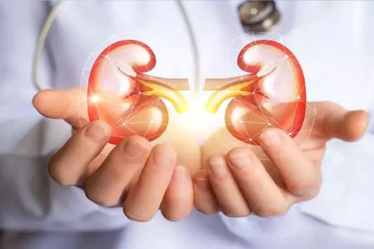 किडनी जांच अभियान जल्द होंगे स्कूलों से शुरु