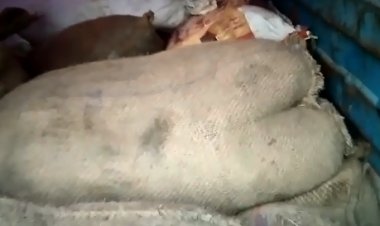 बिहार में शराबबन्दी में शराब में  पिकअप-वेन सहित शराब पकड़ी गई वहीं चालक भागने में सफल रहा ।