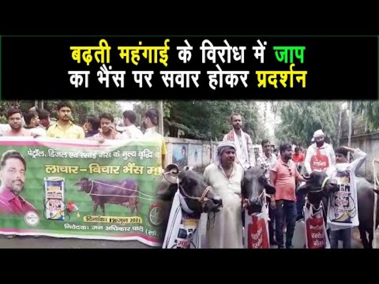 पटना की सड़कों पर जाप के कार्यकर्ता और नेताओं द्वारा भैंस पर सवार होकर प्रदर्शन किया |