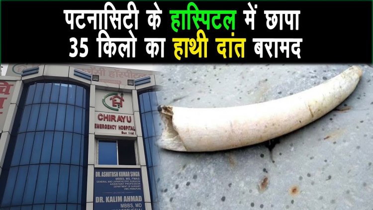 वन विभाग ने हॉस्पिटल में छापा मारकर 35 किलो हाथी दांत बरामद किया, एक डॉक्टर सहित तीन गिरफ्तार |