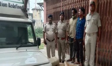 लॉजिस्टिक्स के वाहन से मिला साढ़े 3 क्विंटल गांजा, झारखंड से हो रही थी तस्करी