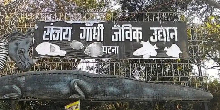 कोरोना के बाद आम जिंदगी की तरफ बढ़े लोग, सार्वजनिक स्थलों पर बढ़ी रौनक