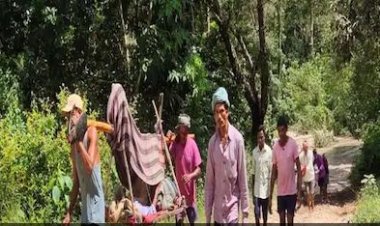 बीमार पिता को खाट पर उठाया, फिर 22 नदियां पार कर पहुंचाया अस्पताल