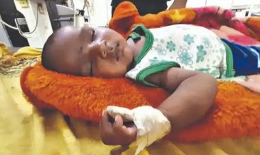 बिहार में वायरल बुखार का कहर, PMCH में एक बेड पर 2-2 बच्चे, सीएम नीतीश बोले- अलर्ट रहे स्वास्थ्य विभाग