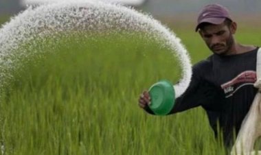बिहार के 70 हजार किसानों के खाते में नीतीश सरकार भेजेगी पैसा, चेक करें अपना अकाउंट