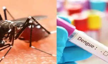 पटना में बढ़ा डेंगू का कहर, 72 घंटे में 16 मामले आए सामने