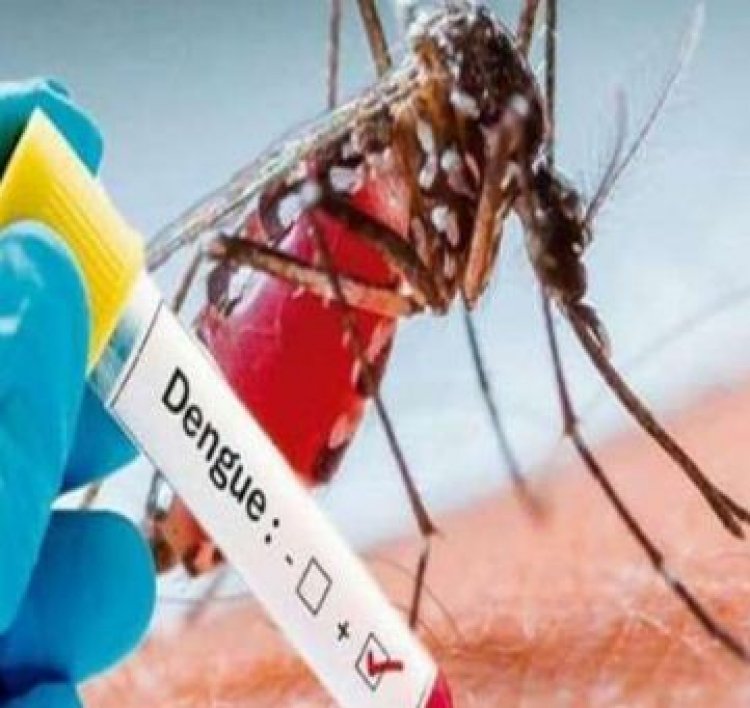 यूपी, बिहार समेत कई राज्‍यों में डेंगू का कहर