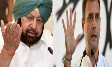 कृषि कानून वापस लेने पर कैप्टन अमरिंदर ने कहा, शुक्रिया तो राहुल गांधी बोले- अन्नदाता ने झुकाया अहंकार का सिर