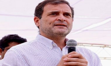 कृषि कानूनों की वापसी के ऐलान पर बोले राहुल गांधी, अन्नदाता ने सत्याग्रह से अहंकार का सिर झुका दिया