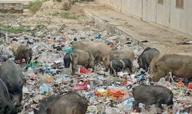 पश्चिम चंपारण जिले में बायोमेडिकल कचरा निष्तारण की व्यवस्था बेहाल