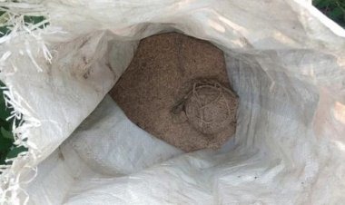वैशाली में सड़क किनारे 9 जिंदा बम मिलने से हड़कंप, इलाके में मची अफरा-तफरी