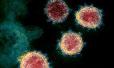 Vaccine For Omicron Variant: वैक्‍सीन निर्माता दिग्‍गज कंपनियों ने कसी कमर, ब्रिटेन में अंतिम परीक्षण के दौर में टीका