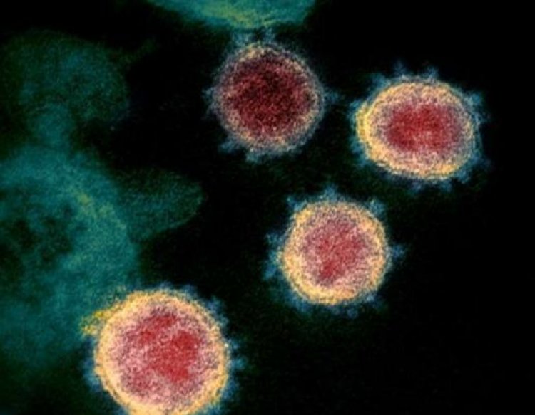 Vaccine For Omicron Variant: वैक्‍सीन निर्माता दिग्‍गज कंपनियों ने कसी कमर, ब्रिटेन में अंतिम परीक्षण के दौर में टीका