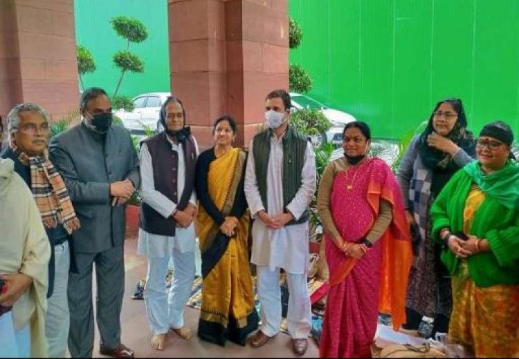 शीतकालीन सत्र 2021: निलंबित राज्यसभा सांसदों से मिले राहुल गांधी, संसद के बाहर राजनीतिक लड़ाई जारी