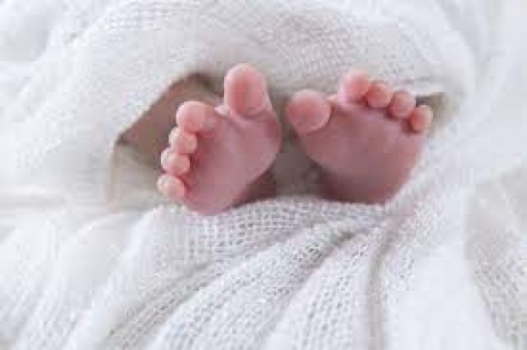 राजगढ़ में बिटिया के जन्म पर परिवार ने मनाया शानदार जश्न, दुल्हन की तरह सजाया गांव