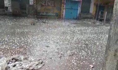 बिहार के कई जिलों में गिरे ओले, पटना में 13 MM बारिश