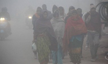 सर्दी का सितम अभी रहेगा जारी, जानिए कब कोल्ड डे और कब है बारिश का येलो अलर्ट