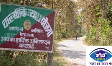बाल्मीकि नगर में टाइगर को देखना चाहते हैं तो करें ये काम
