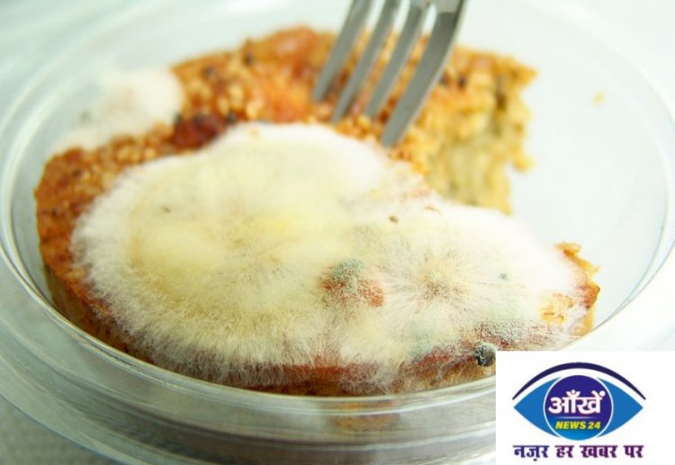 क्या होगा अगर आपने ग़लती से खा लिया फफूंद लगा खाना?