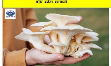 कई गंभीर बीमारियों से बचाती है ये ताकतवर चीज, शरीर बनेगा बलशाली