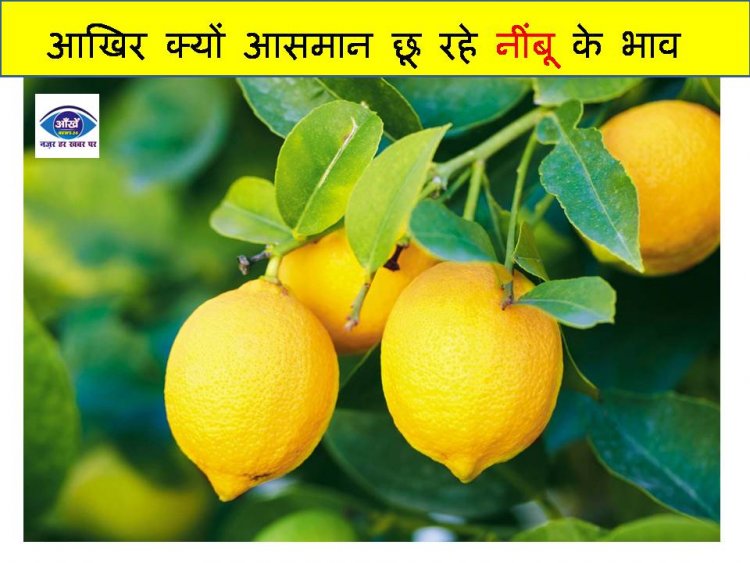 आखिर क्यों आसमान छू रहे नींबू के भाव