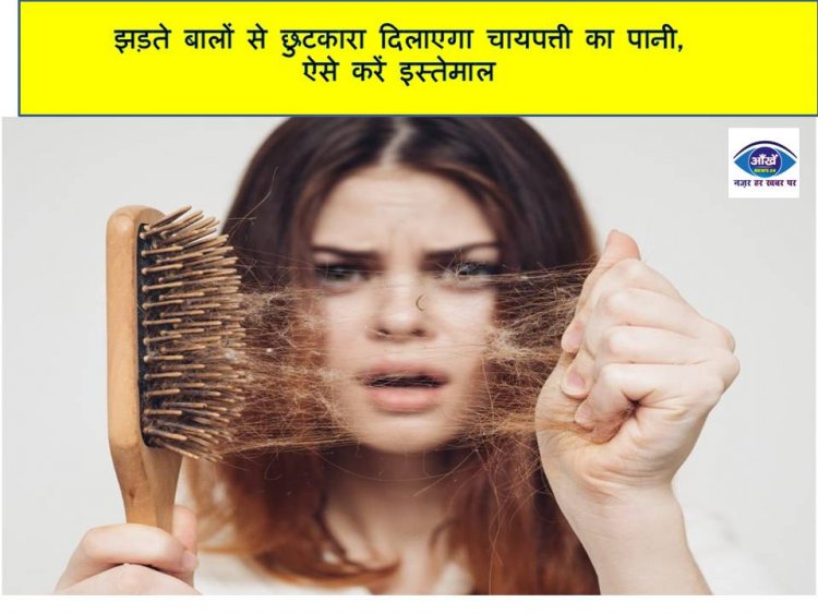 झड़ते बालों से छुटकारा दिलाएगा चायपत्ती का पानी,  ऐसे करें इस्तेमाल