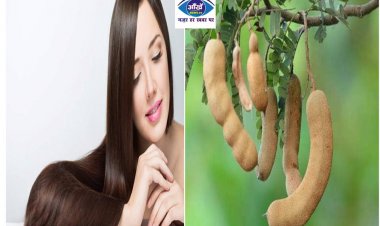 टूटते बालों से है परेशान तो ऐसे लगाएं इमली की पत्तियां, मजबूत होंगे आपके बाल