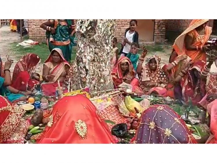 बिहार के मुजफ्फरपुर जिले में भी आज बड़ी धूमधाम से मनाई जा रही है वट सावित्री पूजा