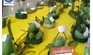 पटना के ज्ञान भवन में लगा फलों के राजा आम की प्रदर्शनी 