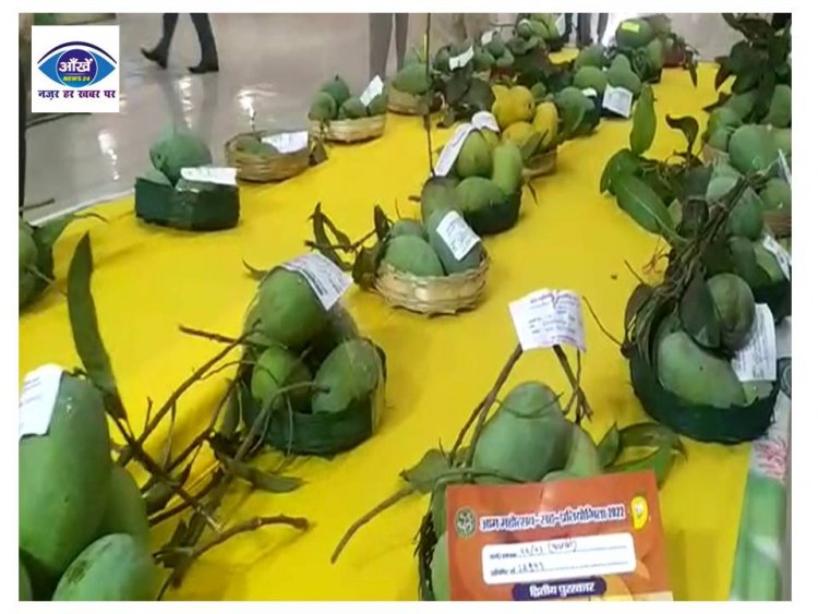 पटना के ज्ञान भवन में लगा फलों के राजा आम की प्रदर्शनी 