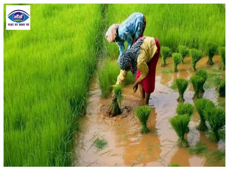 मौसम विभाग ने कहा इस तारीख से होगी बिहार में बारिश, किसान कर सकते हैं रोपनी