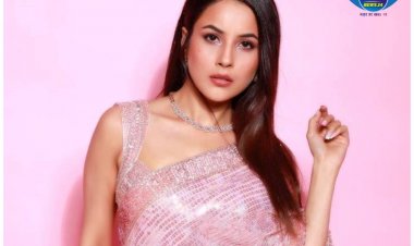 Sidharth Shukla से पहले इस बॉलीवुड एक्टर के प्यार में पागल थीं Shehnaaz Gill, भरी महफिल में कर दिया था प्रपोज