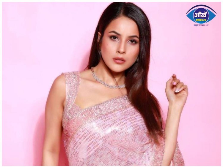 Sidharth Shukla से पहले इस बॉलीवुड एक्टर के प्यार में पागल थीं Shehnaaz Gill, भरी महफिल में कर दिया था प्रपोज