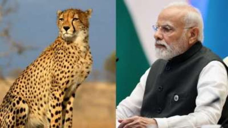 पीएम मोदी ने कहा भारत में महिला शक्ति का परचम',जन्मदिन पर PM मोदी ने कही ये बात... 