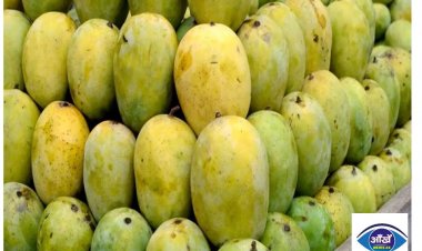 Mango Benefits: गर्मियों में जमकर खाएं आम, ये बीमारियां रहेंगी दूर