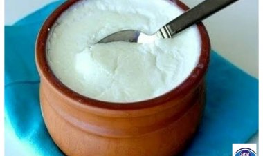 दही के साथ क्या खाएं क्या नहीं? ये चीजें हेल्थ को पहुंचा सकती हैं नुकसान