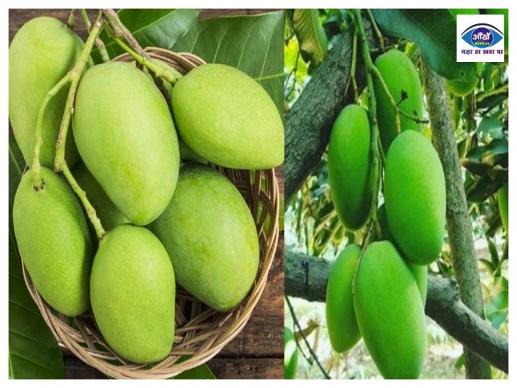 गर्मियों में शरीर के लिए फायदेमंद होता है आम, इन समस्याओं को करता है दूर