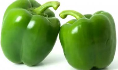 Green Capsicum Benefits: हरी शिमला मिर्च खाने के अद्भुत फायदे
