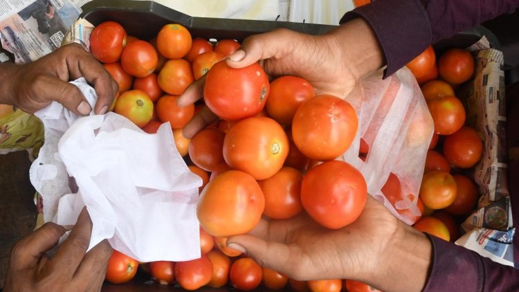 Tomato Price: दिल्ली समेत इन शहरों में टमाटर की कीमतें कम होंगी, सरकार ने तय किए ये रेट