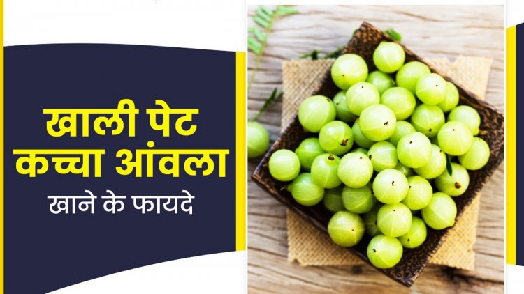 खाली पेट आंवला खाने से मिलेंगे ये 5 फायदे, जानें सेवन का तरीका