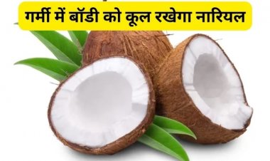 गर्मी में जरूर खाएं नारियल, सेहत को मिलेंगे ये 5 जबरदस्त फायदे