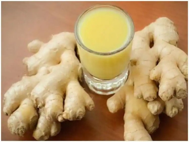 Ginger In Diet: दिन में कब और कितना खाना चाहिए अदरक? जानें इसकी मात्रा और फायदे