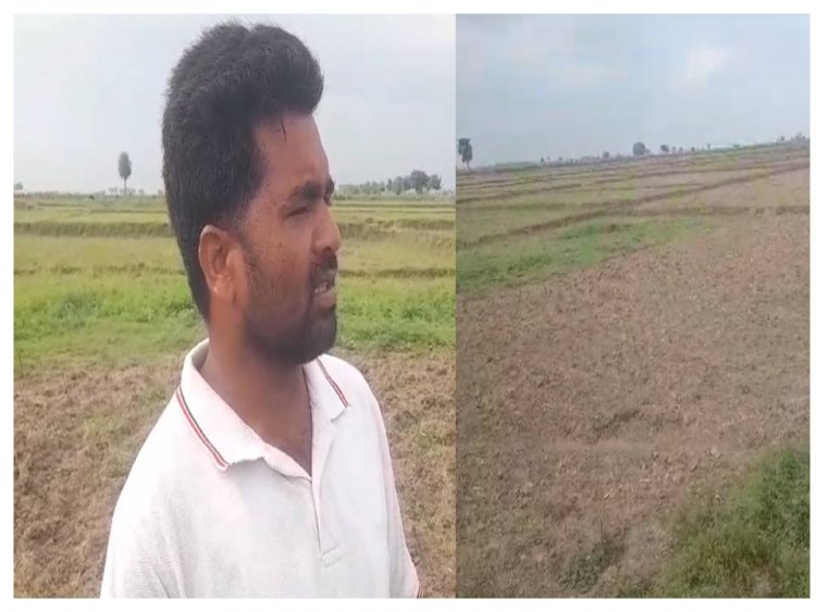 औरंगाबाद के कई प्रखंडो में सुखाड़ से किसानों में मचा हाहाकार 