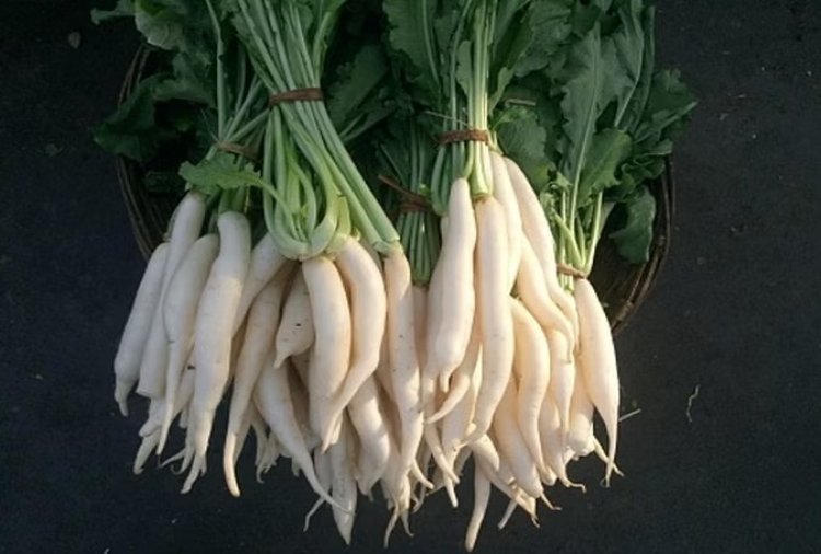Radish Health Benefits: जानिए मूली खाने का सही समय और तरीका, फिर न बनेगी गैस 