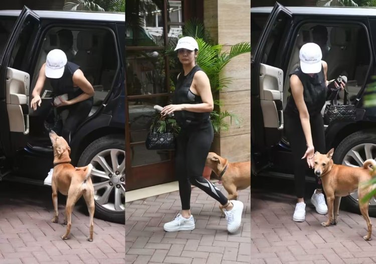 Malaika Arora ने कार से उतरते ही लुटाया डॉग पर प्यार, फैंस को सताई, 'कैस्पर की चिंता'