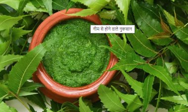 सुबह खाली पेट नीम की पत्ती खाने के फायदे और नुकसान