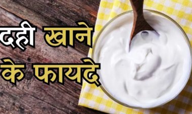 Benefits of Curd: गुणों का खजाना है पोषक तत्वों से भरपूर दही, जानें इसे रोज खाने के कुछ फायदे