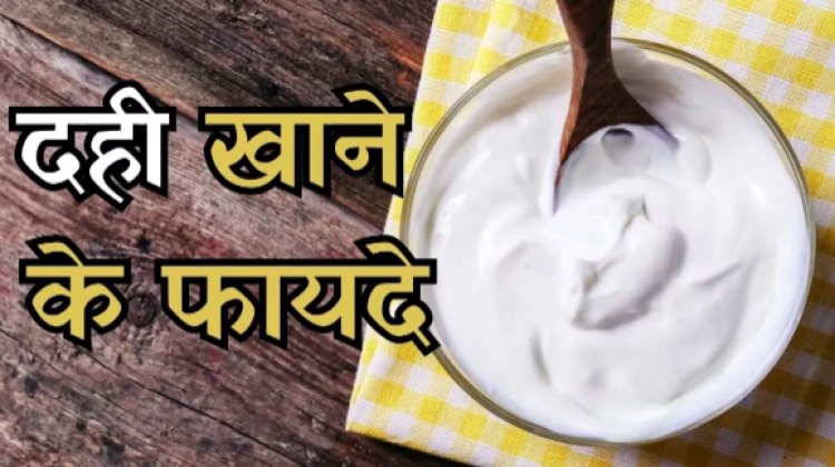Benefits of Curd: गुणों का खजाना है पोषक तत्वों से भरपूर दही, जानें इसे रोज खाने के कुछ फायदे