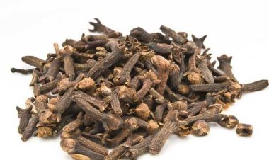Clove benefits : खाली पेट लौंग खाने के क्या हैं फायदे जानिए यहां और करिए रूटीन में शामिल